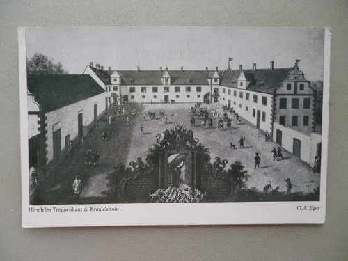 Ansichtskarte hirsch - ansichtskarte, im